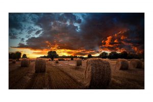 Samsung VM46T-U 46" Videowall Ekran