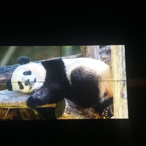 Lara-Sinemaları-Videowall-1