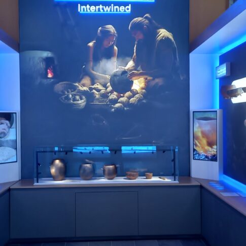 Catalhoyuk-Muze-Profesyonel-Ses-ve-Goruntu-Sistemleri-10