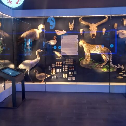 Catalhoyuk-Muze-Profesyonel-Ses-ve-Goruntu-Sistemleri-4