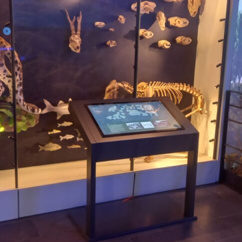 Catalhoyuk-Muze-Profesyonel-Ses-ve-Goruntu-Sistemleri-5