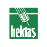 Hektas