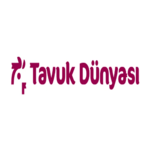 Tavuk Dunyasi