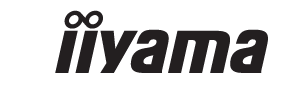 Logo iiyama